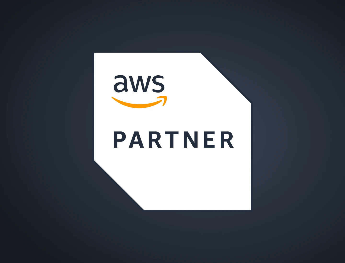 AWS Partner logo